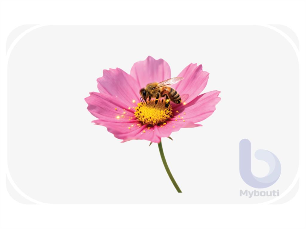 pollinate